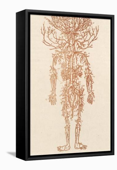 The Arteries of the Human Body-Ebenezer Sibly-Framed Stretched Canvas