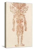 The Arteries of the Human Body-Ebenezer Sibly-Stretched Canvas