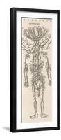 The Arteries of the Human Body-null-Framed Photographic Print