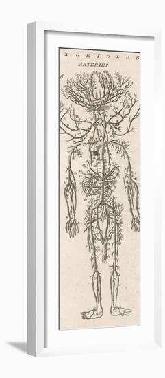 The Arteries of the Human Body-null-Framed Photographic Print