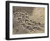 The Artful Dodgers (Shrapnel Coming Down the Road)-Frederic Remington-Framed Giclee Print