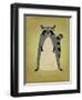 The Artful Raccoon-John W Golden-Framed Premium Giclee Print