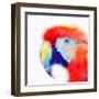 The Articulate II-Jacqueline Maldonado-Framed Art Print