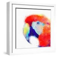 The Articulate II-Jacqueline Maldonado-Framed Art Print