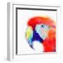 The Articulate II-Jacqueline Maldonado-Framed Art Print