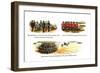 The Artillery, A Scottish Battalion, and Skirmishes-Richard Simkin-Framed Art Print