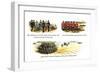 The Artillery, A Scottish Battalion, and Skirmishes-Richard Simkin-Framed Art Print