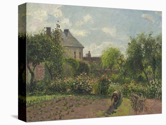 The Artist's Garden at Eragny, 1898-Camille Pissarro-Stretched Canvas