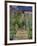 The Artist's Garden at Vetheuil, 1880-Claude Monet-Framed Giclee Print