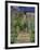 The Artist's Garden at Vetheuil, 1880-Claude Monet-Framed Giclee Print