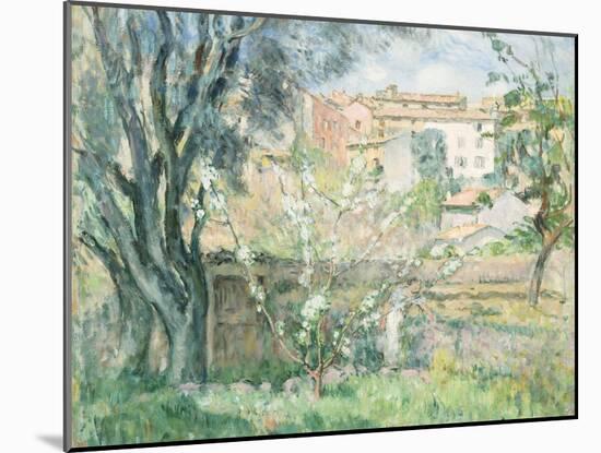 The Artist's Garden in Cannet, Le Jardin de L'Artiste au Cannet, 1931-Henri Lebasque-Mounted Giclee Print