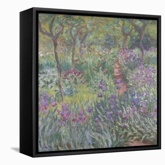 The Artist’S Garden in Giverny, 1900-Claude Monet-Framed Stretched Canvas