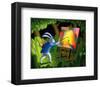 The Artist-Chris Miles-Framed Art Print