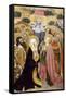 The Ascension of Christ, Altarpiece from Verdu, 1432-34-Jaume Ferrer II-Framed Stretched Canvas