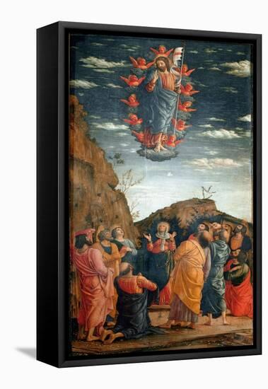 The Ascent. Painting by Andrea Mantegna (1431-1506) of 1460. 86X42,5 Cm. Firenze, Galleria Degli Uf-Andrea Mantegna-Framed Stretched Canvas