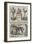 The Ascot Cup-Benjamin Herring-Framed Giclee Print