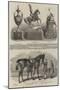 The Ascot Race Plate-Benjamin Herring-Mounted Giclee Print