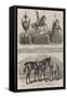 The Ascot Race Plate-Benjamin Herring-Framed Stretched Canvas