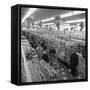 The Asda Supermarket in Rotherham, South Yorkshire, 1969-Michael Walters-Framed Stretched Canvas