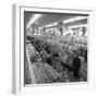 The Asda Supermarket in Rotherham, South Yorkshire, 1969-Michael Walters-Framed Photographic Print