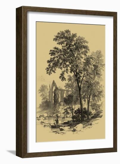 The Ash Tree-Vision Studio-Framed Art Print