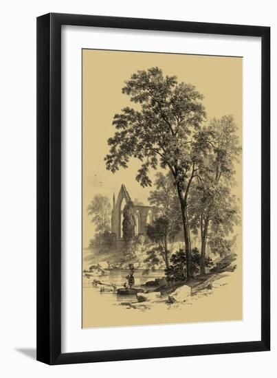 The Ash Tree-Vision Studio-Framed Art Print