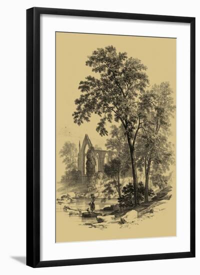 The Ash Tree-Vision Studio-Framed Art Print