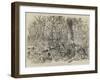 The Ashantee War, Advancing on Coomassie-null-Framed Giclee Print