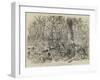 The Ashantee War, Advancing on Coomassie-null-Framed Giclee Print