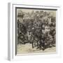 The Ashantee War, the Naval Brigade Clearing the Streets of Coomassie-null-Framed Giclee Print