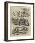 The Ashantee War-null-Framed Giclee Print