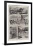 The Ashanti Expedition, Scenes in the Country-null-Framed Giclee Print