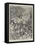 The Ashanti Expedition, the Advance of the Royal Artillery under Captain Benson-Amedee Forestier-Framed Stretched Canvas