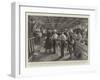The Ashanti Expedition, Vaccination Parade on Board the Steamer Bathurst before Leaving Liverpool-Charles Joseph Staniland-Framed Giclee Print