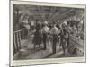 The Ashanti Expedition, Vaccination Parade on Board the Steamer Bathurst before Leaving Liverpool-Charles Joseph Staniland-Mounted Giclee Print