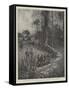 The Ashanti Expedition-Joseph Holland Tringham-Framed Stretched Canvas