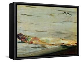 The Asparagus, 1880-Edouard Manet-Framed Stretched Canvas