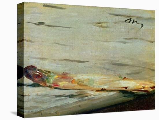 The Asparagus, 1880-Edouard Manet-Stretched Canvas