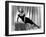 The Asphalt Jungle, Marilyn Monroe, 1950-null-Framed Photo