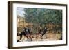 The Assassination of Saint Peter Martyr, C1507-Giovanni Bellini-Framed Giclee Print