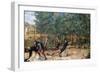 The Assassination of Saint Peter Martyr, C1507-Giovanni Bellini-Framed Giclee Print