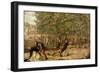 The Assassination of St. Peter Martyr, 1507-Giovanni Bellini-Framed Giclee Print