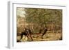 The Assassination of St. Peter Martyr, 1507-Giovanni Bellini-Framed Giclee Print