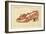 The Assault of the Shoe, 1888-Henri-Charles Guérard-Framed Giclee Print