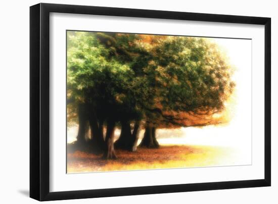 The Assembly-Viviane Fedieu Daniel-Framed Photographic Print