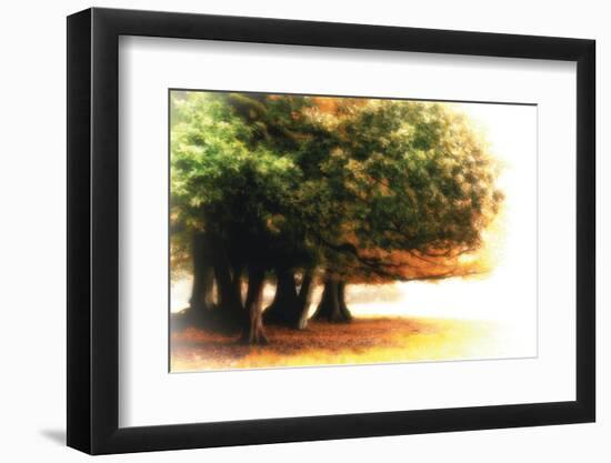 The Assembly-Viviane Fedieu Daniel-Framed Photographic Print