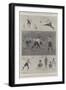 The Association Football Cup Tie at the Crystal Palace-Ralph Cleaver-Framed Giclee Print