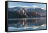 The Assumption of Mary Pilgrimage Church on Lake Bled and Bled Castle, Bled, Slovenia, Europe-Miles Ertman-Framed Stretched Canvas