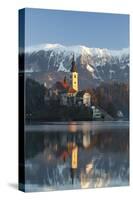 The Assumption of Mary Pilgrimage Church on Lake Bled, Bled, Slovenia, Europe-Miles Ertman-Stretched Canvas