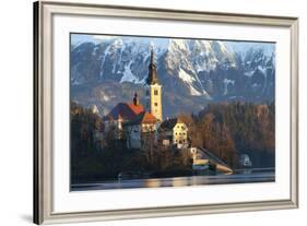 The Assumption of Mary Pilgrimage Church on Lake Bled, Bled, Slovenia, Europe-Miles Ertman-Framed Photographic Print